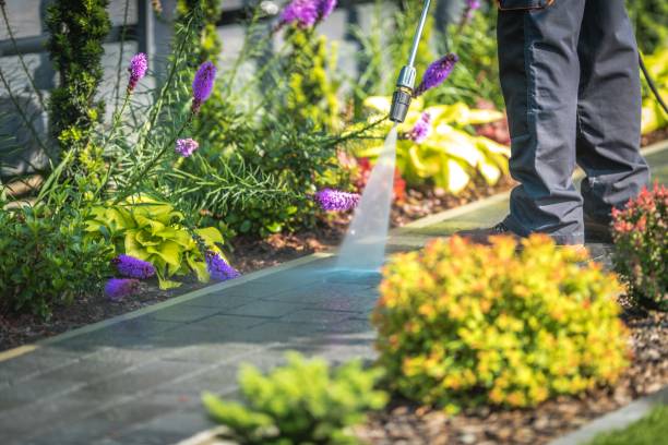 Best Animal Enclosure Cleaning  in Wood River, IL